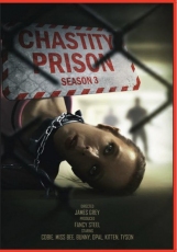 Fancy Steel - Chastity Prison - Season 3
