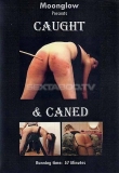Moonglow Caught & Caned