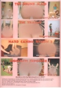 HARD CANING 6 Pretty Girls Caned Hard For Your Entertainment