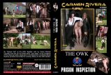 THE OWK PRISON INSPECTION - Carmen Rivera