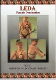 Whipped, Dildoed and Milked (Leda Female Domination)