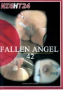 Night 24 Fallen Angel 42 Nadeln-superhart!Unverpixelt!